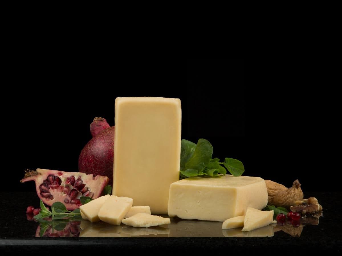 Cream Havarti Cheese